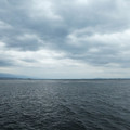 1700-2.jpg