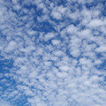 1703-2.jpg
