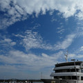 1708-1.jpg