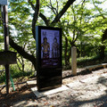 1741-1.jpg