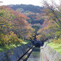 1744-3.jpg