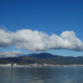 1768-1.jpg