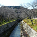1802-1.jpg