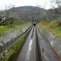 1807-2.jpg