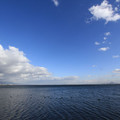 1808-1.jpg