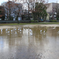 1808-2.jpg