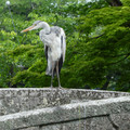 1933-2.jpg