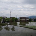 1943-3.jpg