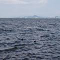 1948-2.jpg
