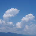 2001-1.jpg