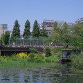 2001-3.jpg