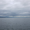2005-3.jpg