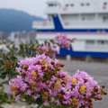 2006-3.jpg
