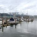 2007-2.jpg