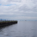 2008-3.jpg