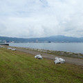 2011-3.jpg