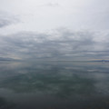 2047-1.jpg