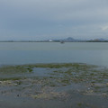 2051-2.jpg