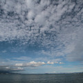 2056-1.jpg