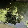 2057-2.jpg