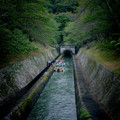 2061-1.jpg