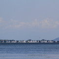 2063-1.jpg