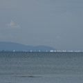 2064-1.jpg