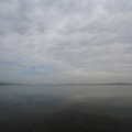 2068-1.jpg