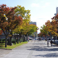 2108-3.jpg