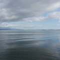 2116-1.jpg