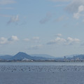 2116-2.jpg
