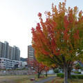 2116-3.jpg