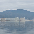 2117-2.jpg