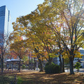 2119-1.jpg