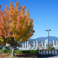 2119-3.jpg