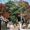2121-1.jpg