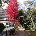 2127-3.jpg