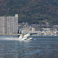 2129-2.jpg