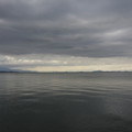 2131-1.jpg