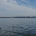 2131-2.jpg