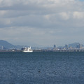 2135-1.jpg