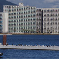2135-2.jpg