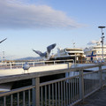 2169-2.jpg