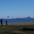 2170-1.jpg