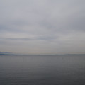 2171-1.jpg