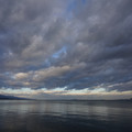 2172-1.jpg