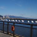 2172-2.jpg