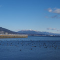 2172-3.jpg