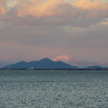 2175-1.jpg
