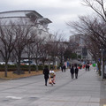 2177-2.jpg